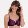 Rosa Faia Rosemary Beugelbh Purple