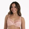Rosa Faia Suzette Beugelbh Wild Rose