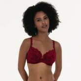 Rosa Faia Bobette Beugelbh Rood