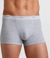 Sloggi Basic Men Short Grijs