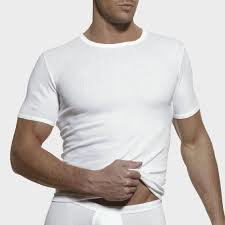 Dulcia Basic Men T-Shirt Wit