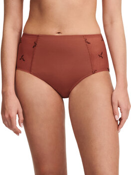 Chantelle Every Curve Hoge Slip Amber Multicolor